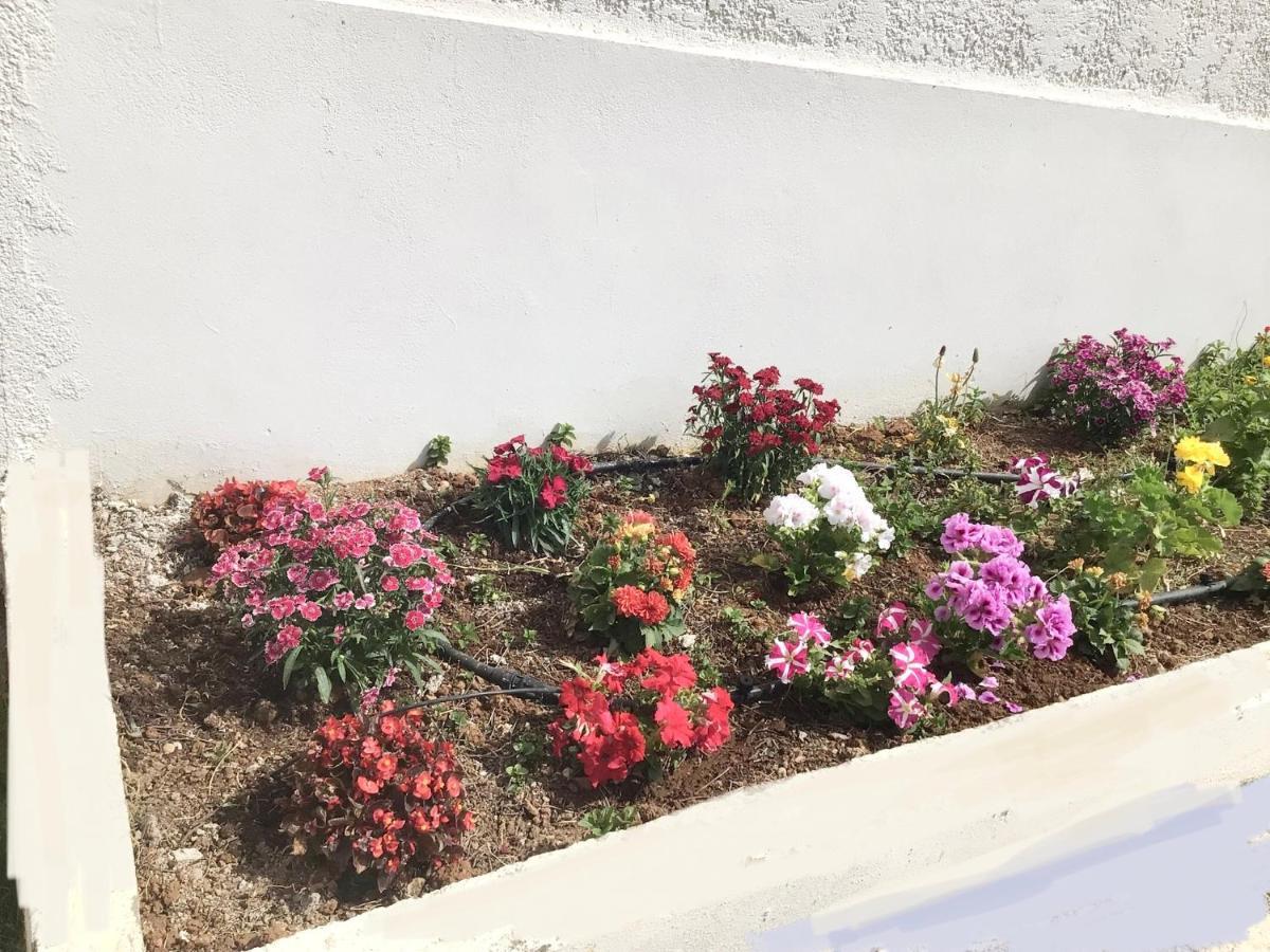 Arokaria Holiday Houses Platanias Esterno foto